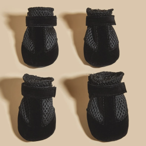 Black Pet Shoes